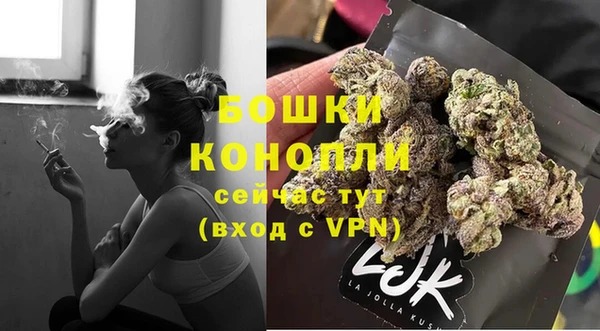 шишки Богданович