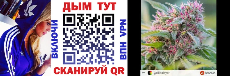 это какой сайт  где найти   Белёв  Канабис THC 21% 